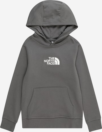 THE NORTH FACE Спортивный свитшот 'DREW PEAK LIGHT' в Серый: спереди