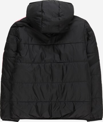 ADIDAS ORIGINALS Zimní bunda 'Adicolor' – černá