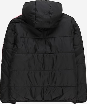 ADIDAS ORIGINALS - Chaqueta de invierno 'Adicolor' en negro