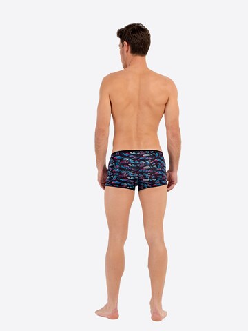 HOM Trunk ' Blackrock ' in Mischfarben