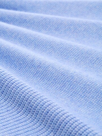 TOM TAILOR Trui in Blauw