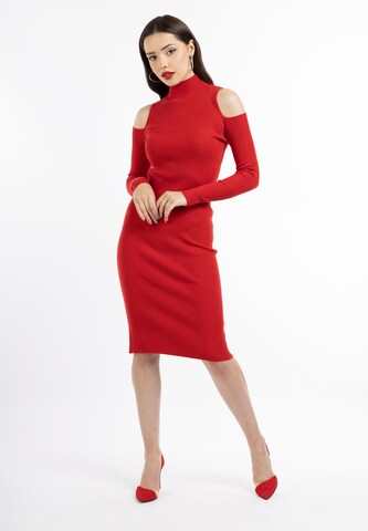 faina Knitted dress 'Tylin' in Red