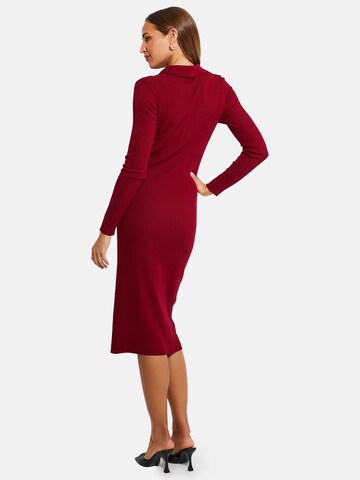 Threadbare Gebreide jurk 'Elm' in Rood
