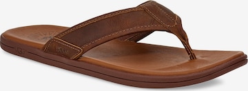 UGG T-Bar Sandals in Brown