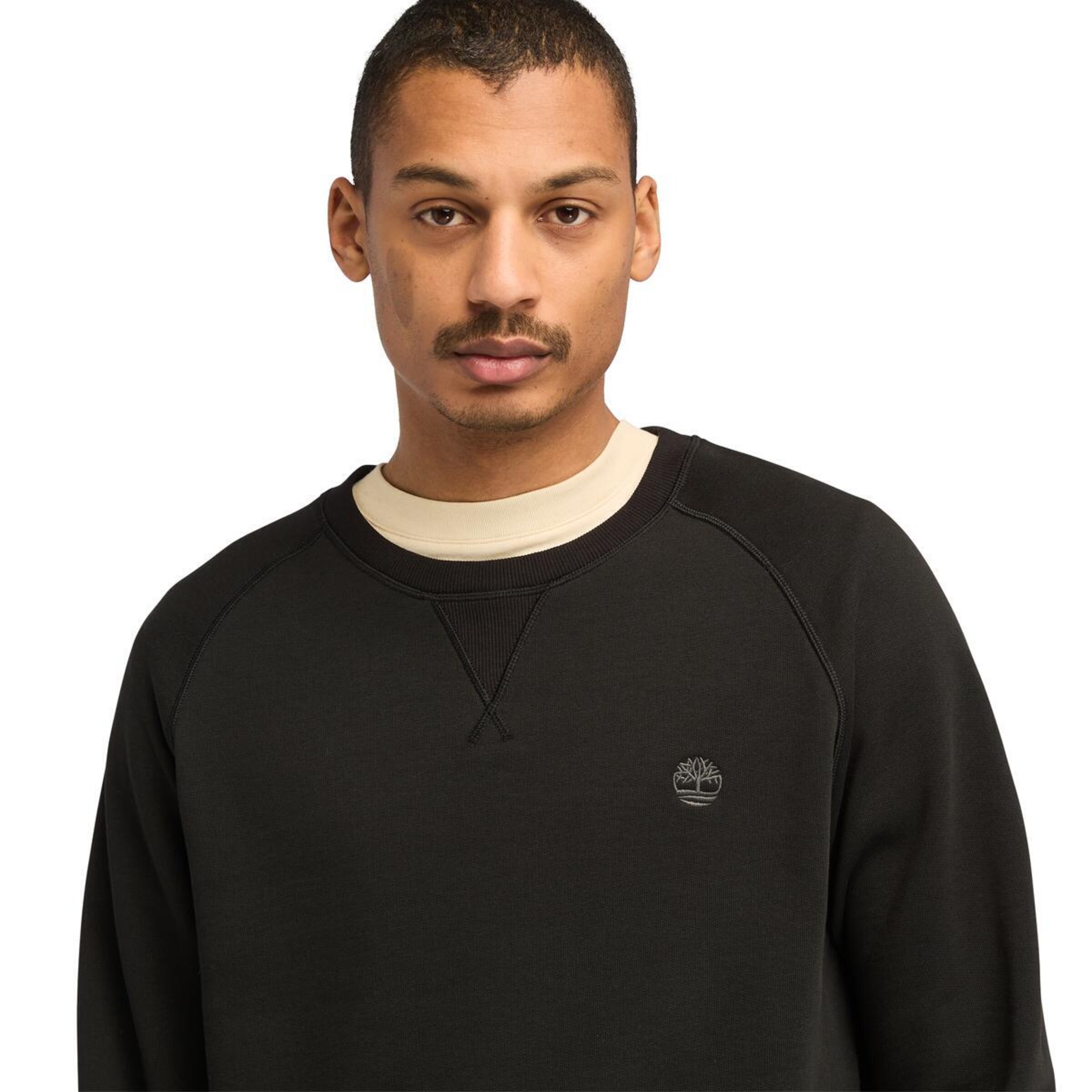 TIMBERLAND Sweatshirt in Schwarz