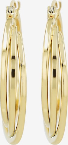 Akzent Earrings 'Rodena, langlebig' in Gold: front