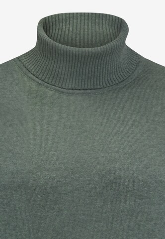 Felix Hardy Sweater in Green