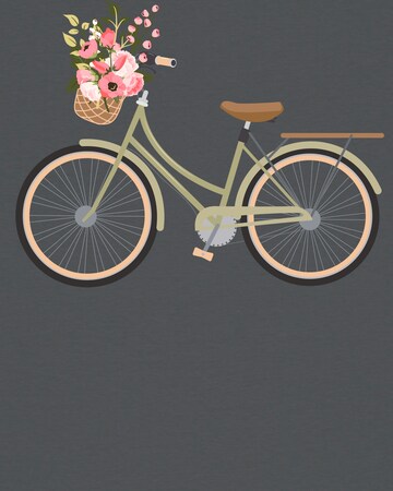 Maglietta ' Damenfahrrad ' di Watapparel in grigio