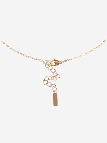 Collana di LACOSTE in oro