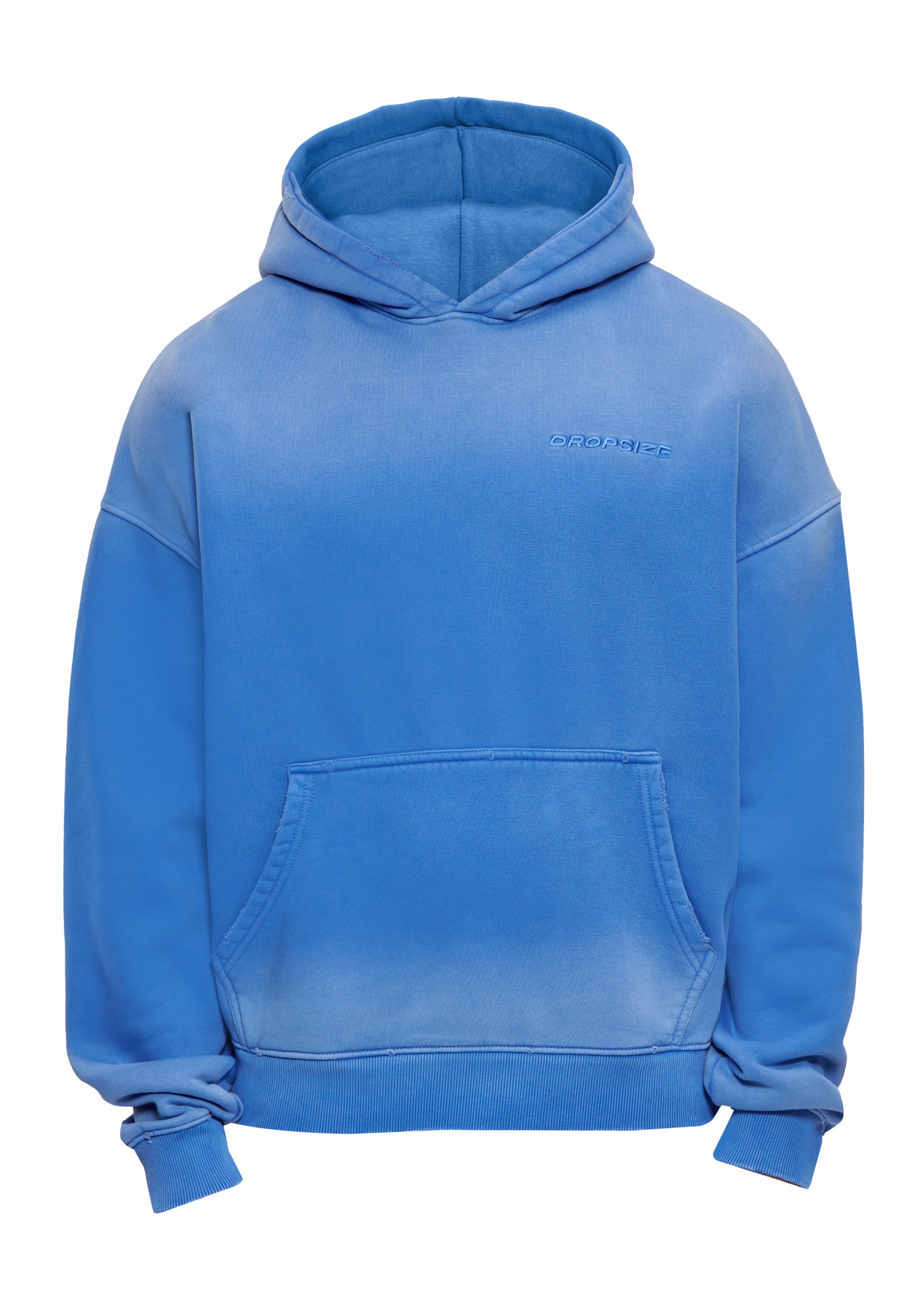 Dropsize Sweatshirt in Blue: front