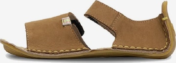 Vivo Barefoot Sandaalit 'ABABA II' värissä ruskea: etupuoli