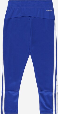 ADIDAS SPORTSWEAR Regular Workout Pants in Blue