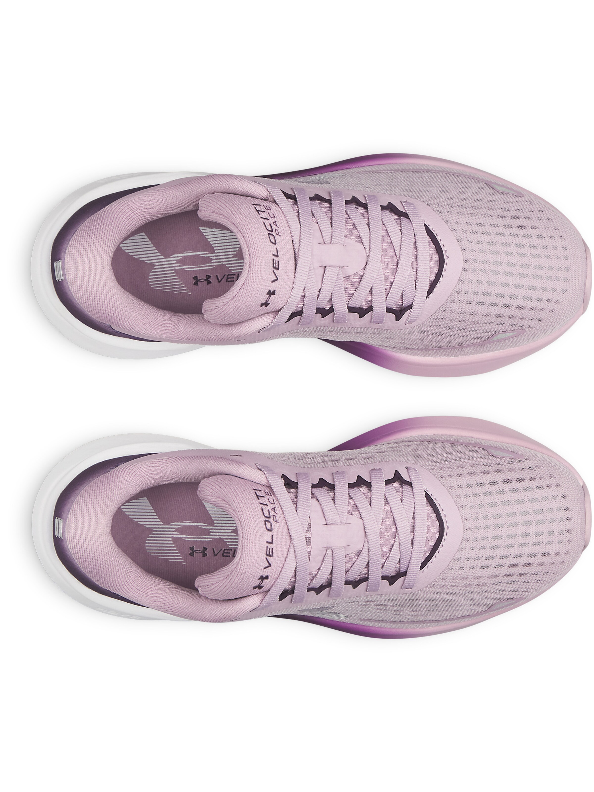UNDER ARMOUR Running shoe 'Velociti' in Pink