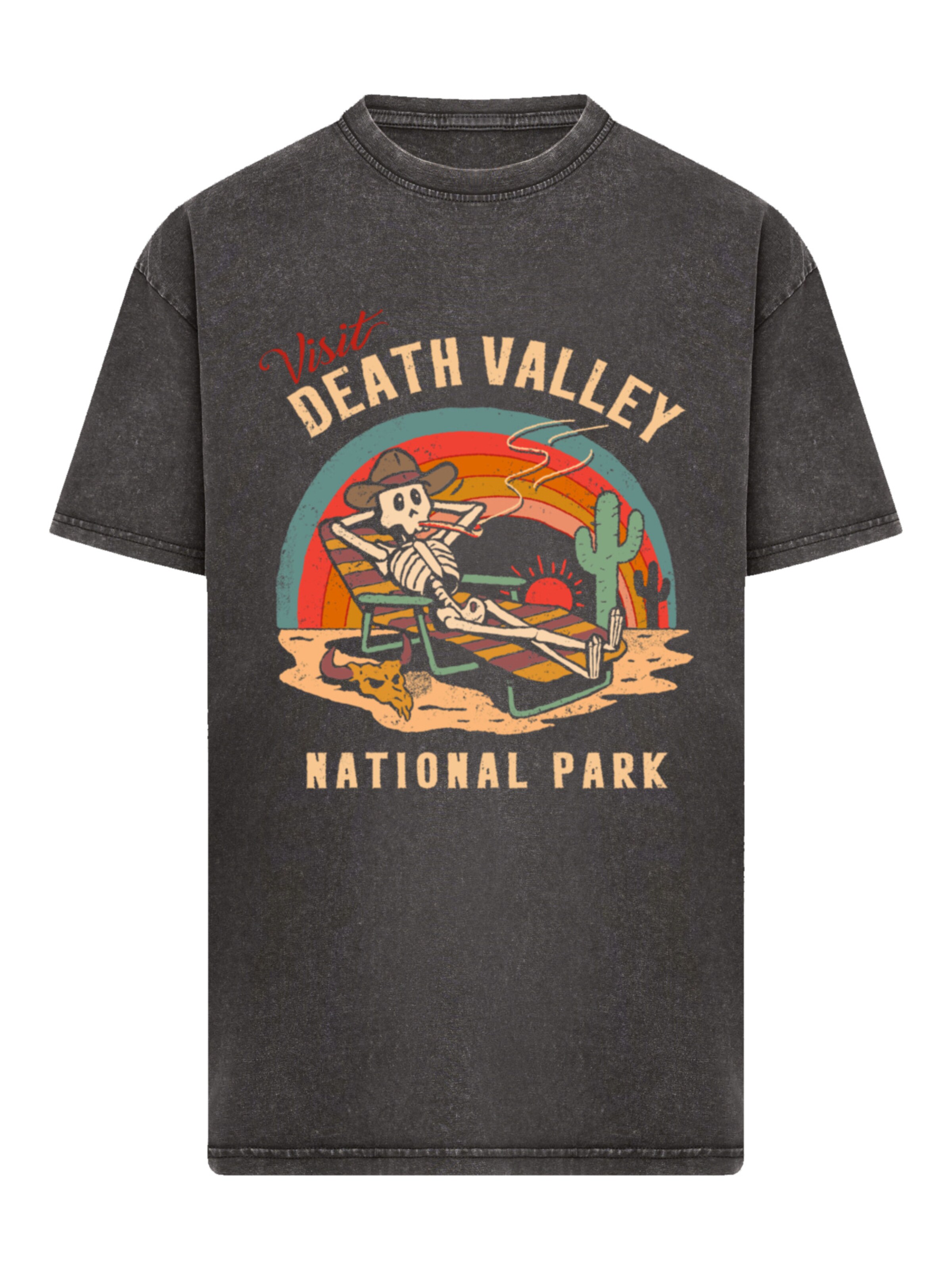 F4NT4STIC Shirt 'US National Parks Visit Death Valley' in Grey: front