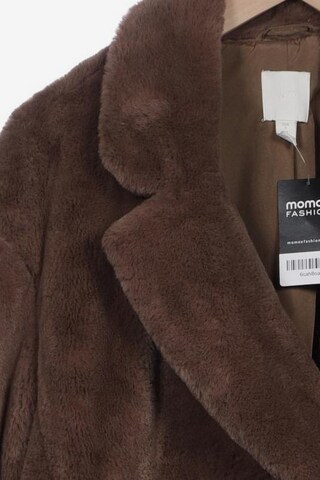 H&M Jacket & Coat in S in Brown