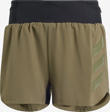 ADIDAS TERREX Workout Pants 'Agravic' in Green: front