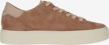 Paul Green Sneaker in Pink