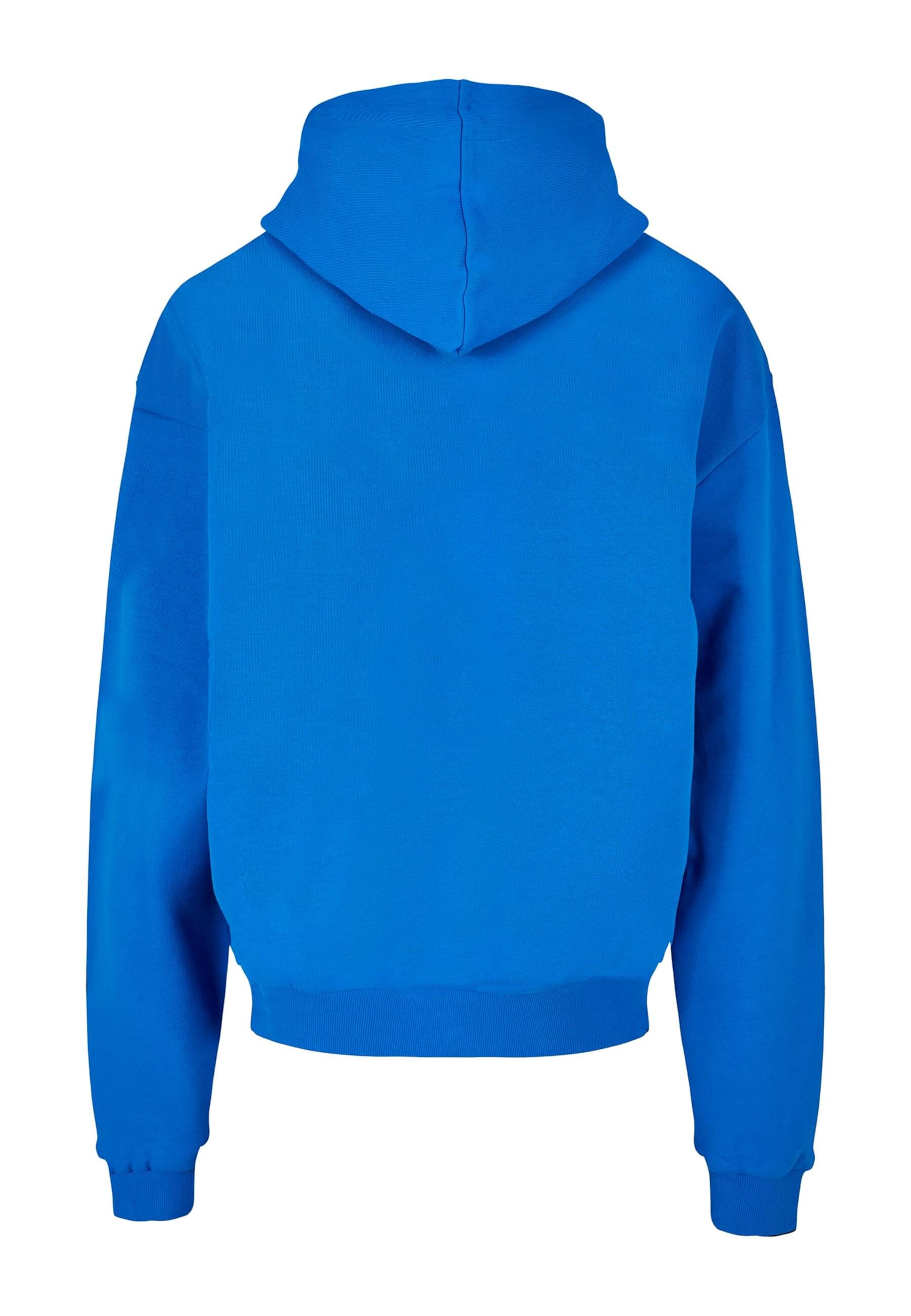 Sweat-shirt 'Icon V.1' Lost Youth en bleu