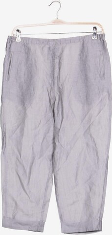 Elemente Clemente Pants in XXL in Grey: front