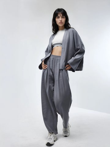 Barrel Pantalon Busem en gris
