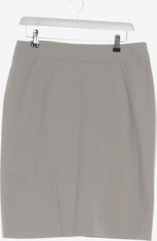 Seductive Skirt in XL in Grey: front