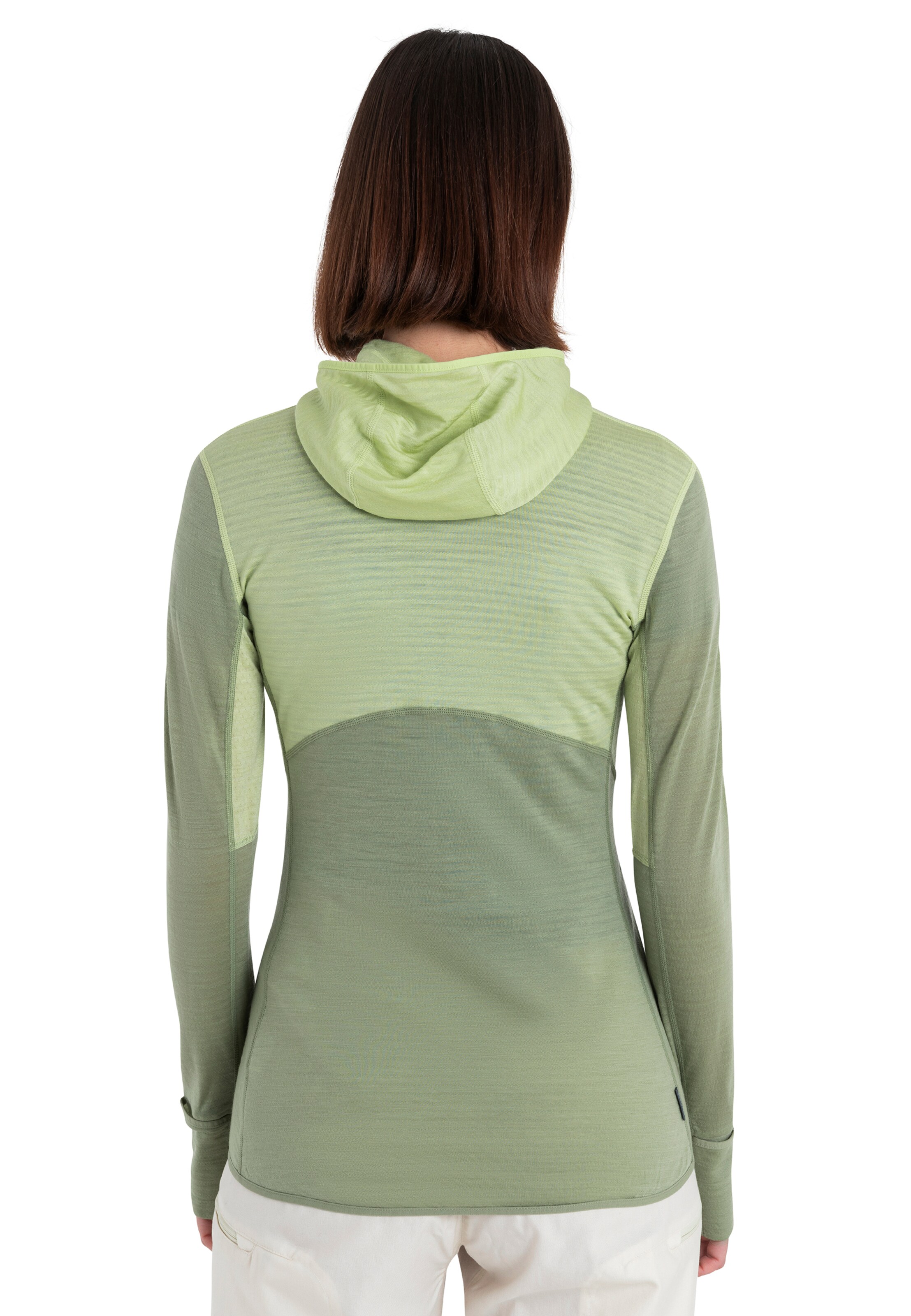 ICEBREAKERSportska sweater majica 'Realfleece Descender' - zelena boja