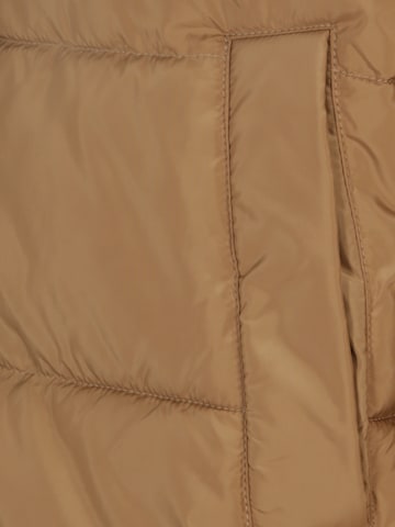Vero Moda Petite Winter jacket 'GEMMA HOLLY' in Brown