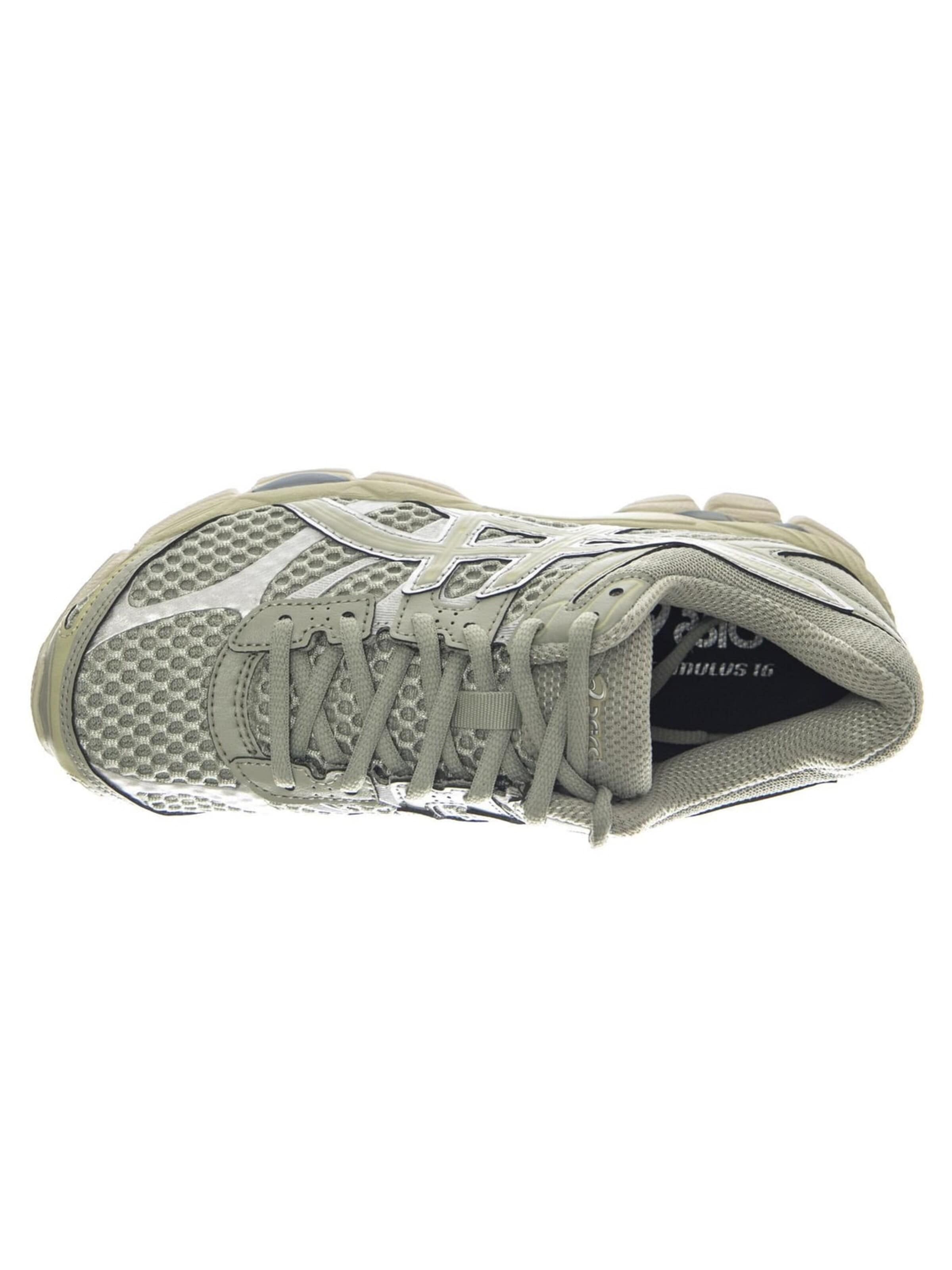 Scarpa stringata sportiva 'Gel-Cumulus 16 Dried Leaf Green/Dried Leaf Green -- Men's Green Shoes' di ASICS in beige