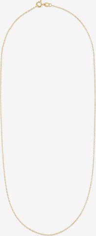 FAVS Kette in Gold: Vorderseite
