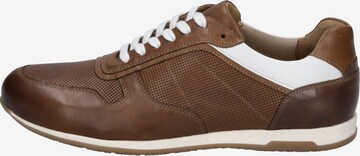 JOSEF SEIBEL Lace-Up Shoes 'Colby 01' in Brown: front