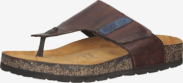 bugatti T-Bar Sandals in Brown: front