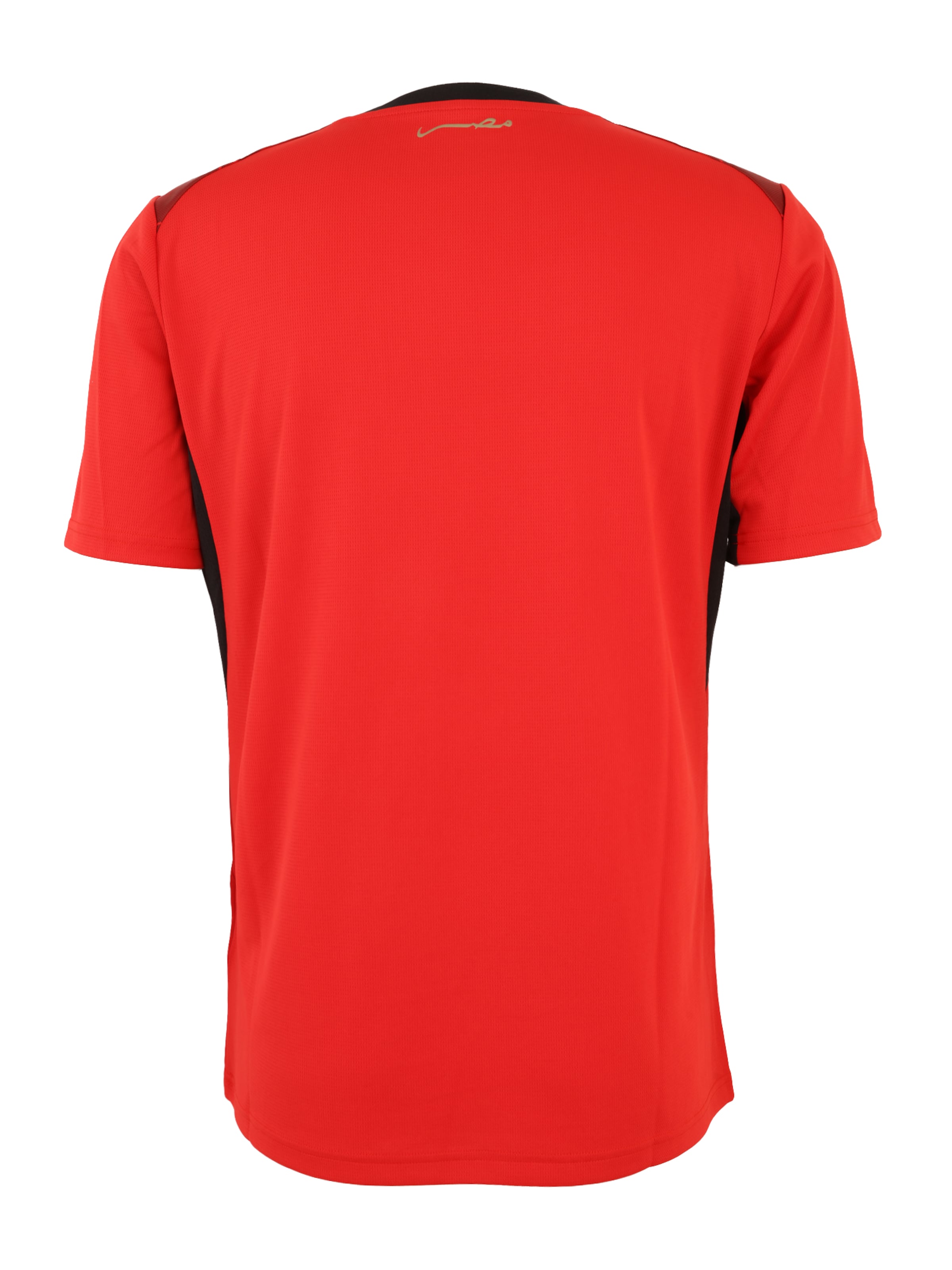 Maglia trikot 'EFA Home' di PUMA in rosso