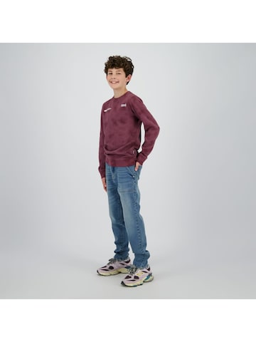 Raizzed Sweatshirt in Lila: voorkant