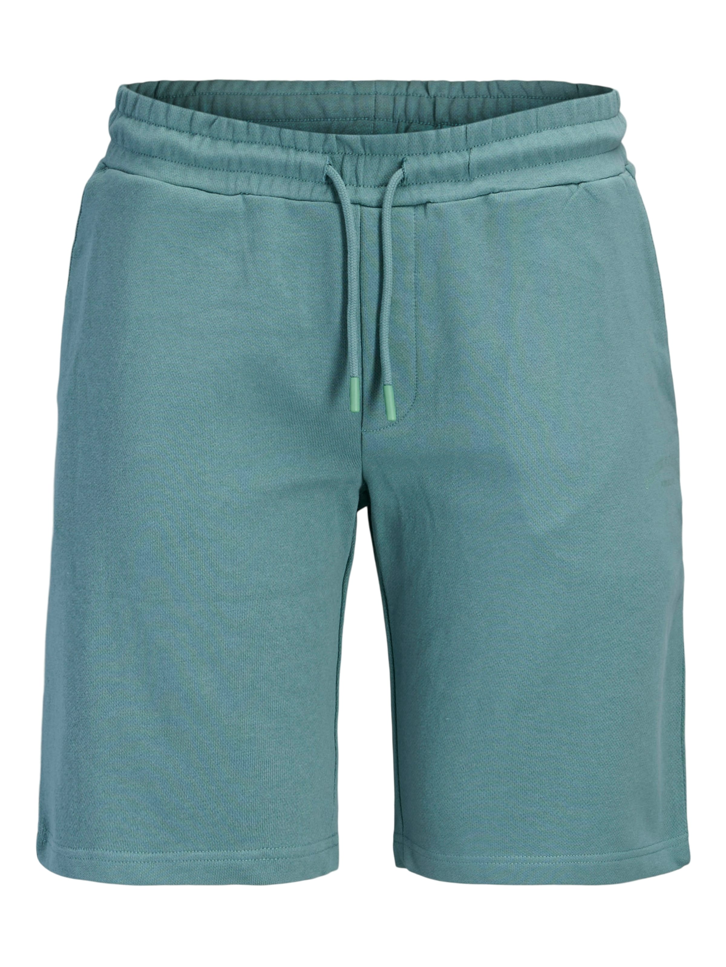 Jack & Jones Plus Regular Pants in Blue: front