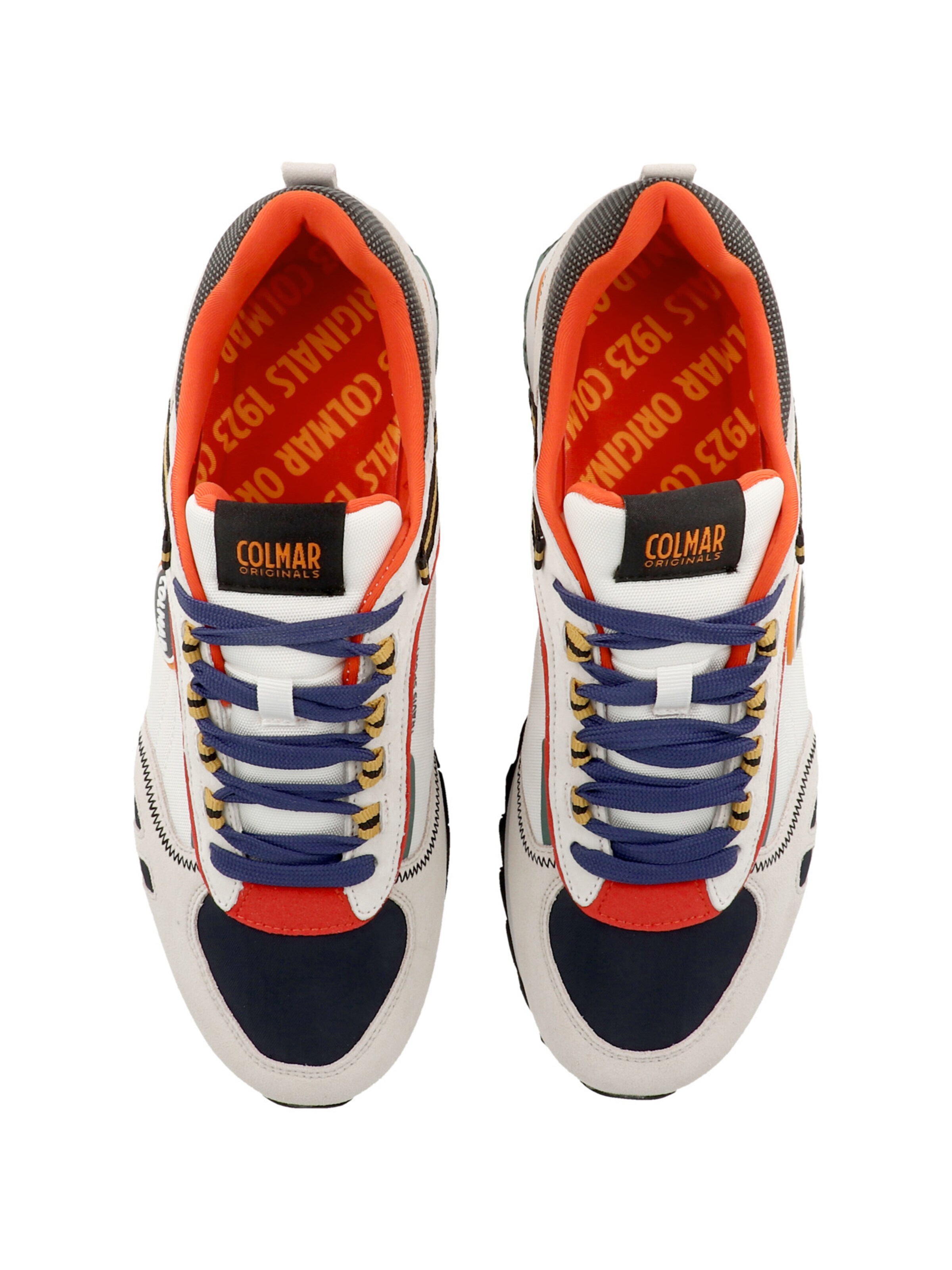 Baskets basses 'Travis Sport Division' Colmar en blanc