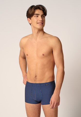 Regular Boxers Skiny en bleu