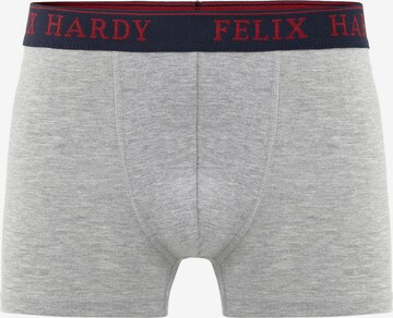 Boxer di Felix Hardy in colori misti