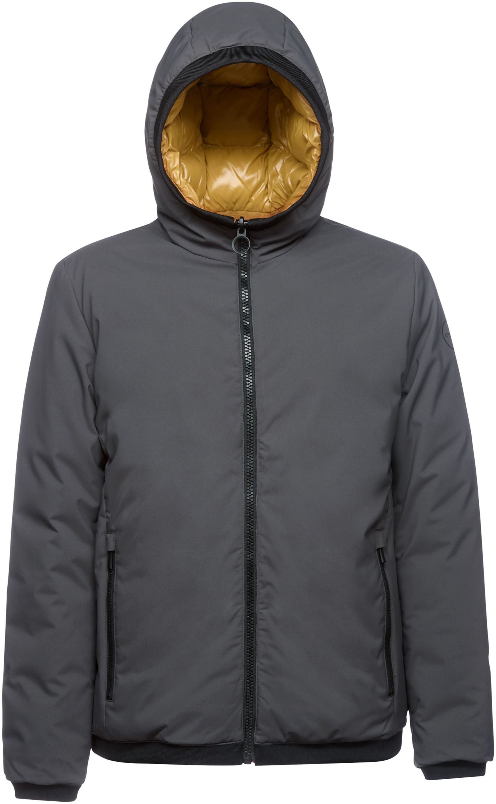 GEOX Winter Jacket in Grey: front
