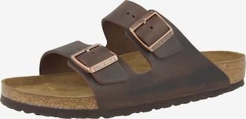 BIRKENSTOCK Pantofle 'Arizona' – hnědá: přední strana