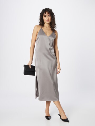 BRUUNS BAZAAR Dress 'Catmint' in Grey