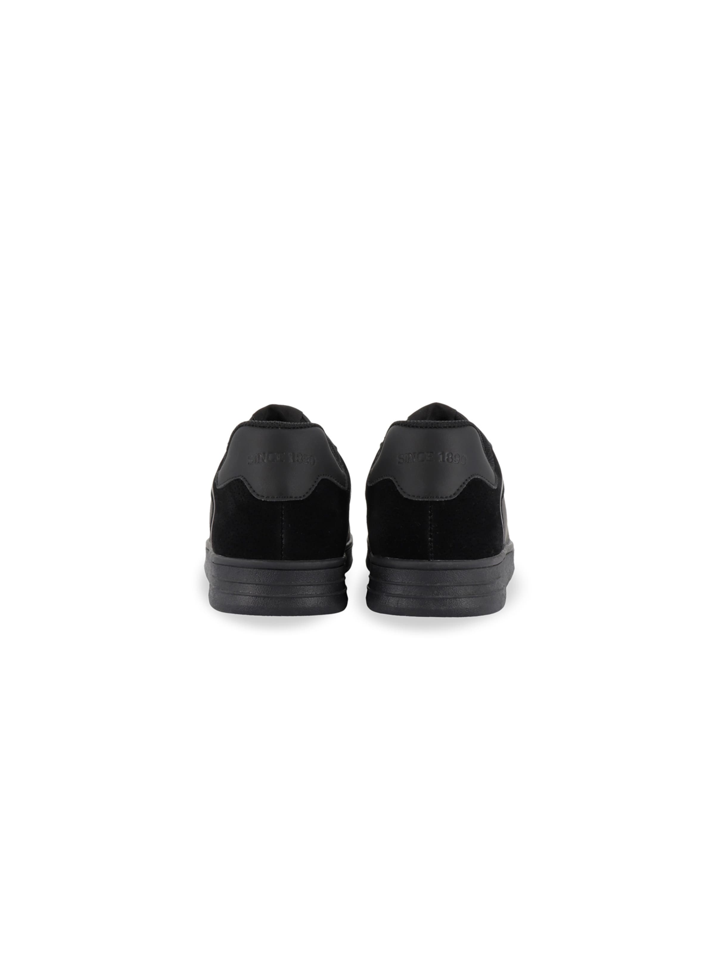 Baskets basses 'Alpha' US POLO ASSN. en noir