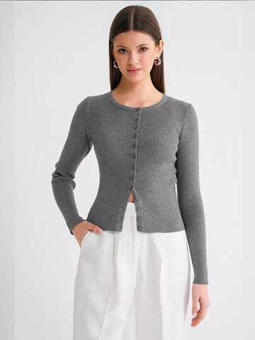 MixRay Knit Cardigan in Grey: front