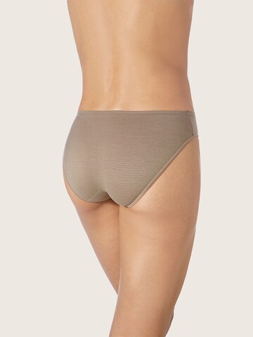 zd ZERO DEFECTS Panty 'Venus soy fiber low waist panty' in Braun