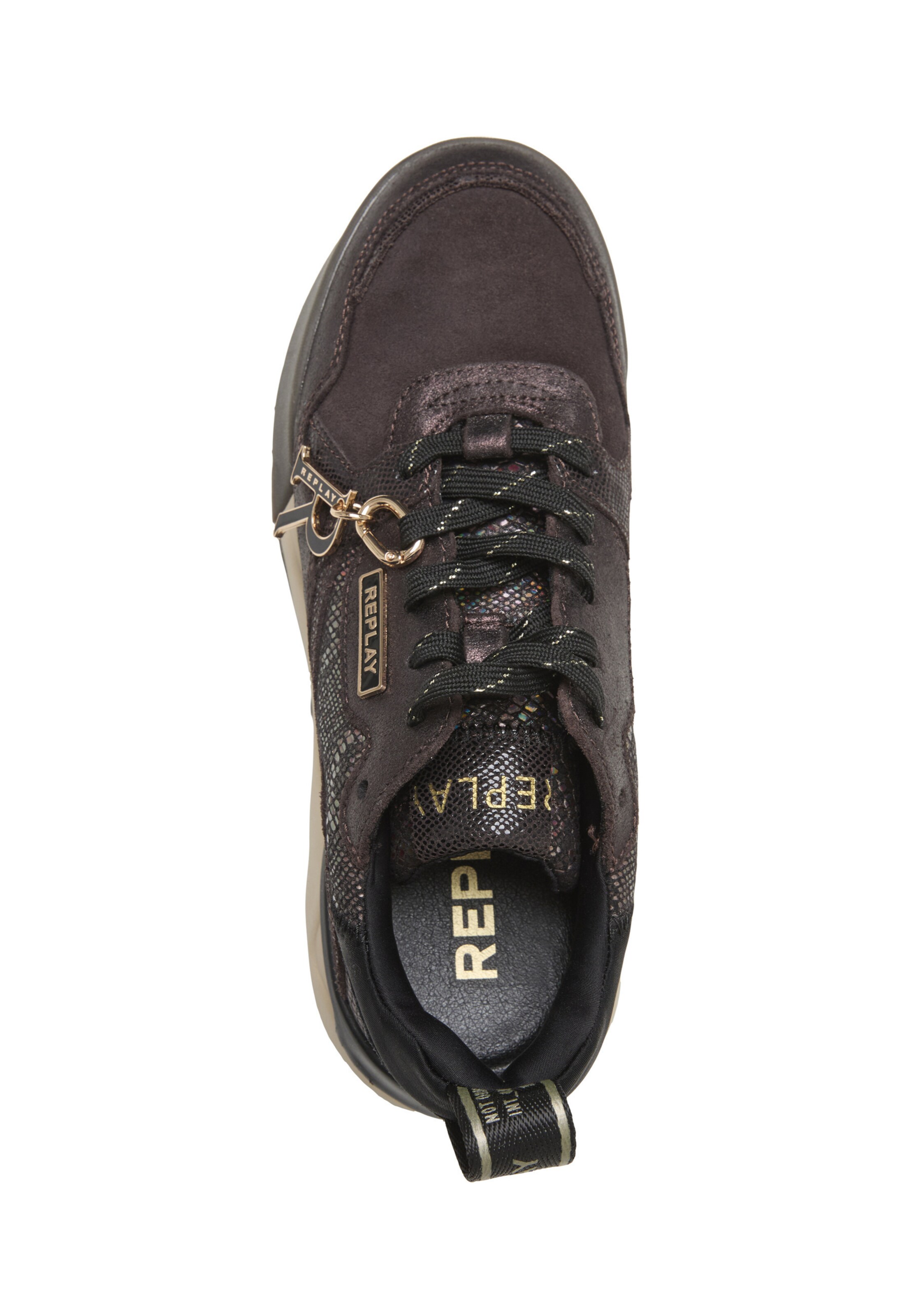 Baskets basses 'Field' REPLAY en marron
