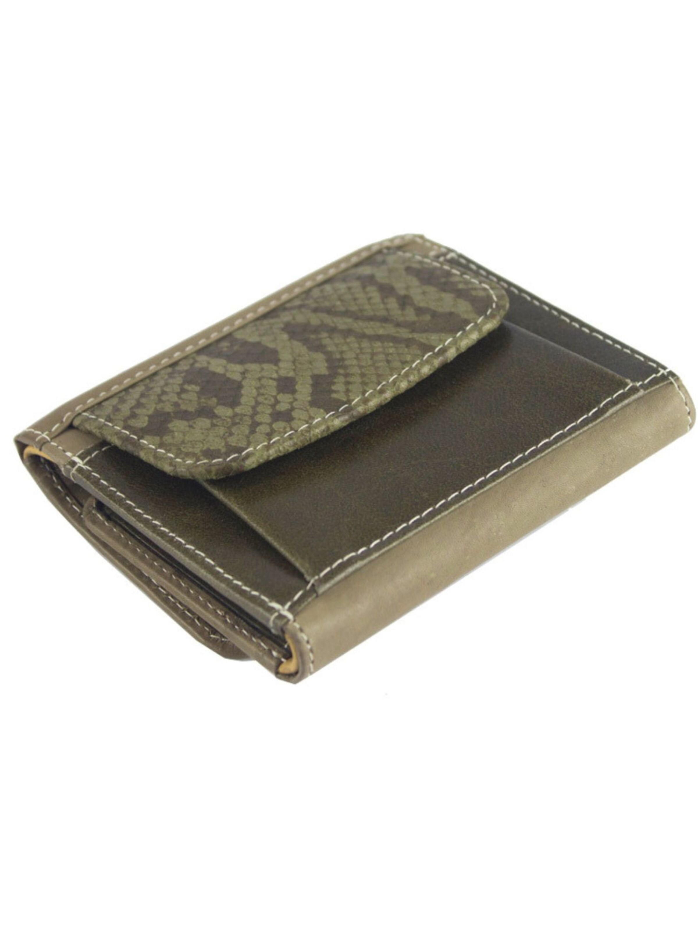 Sunsa Wallet 'Sunsa' in Green
