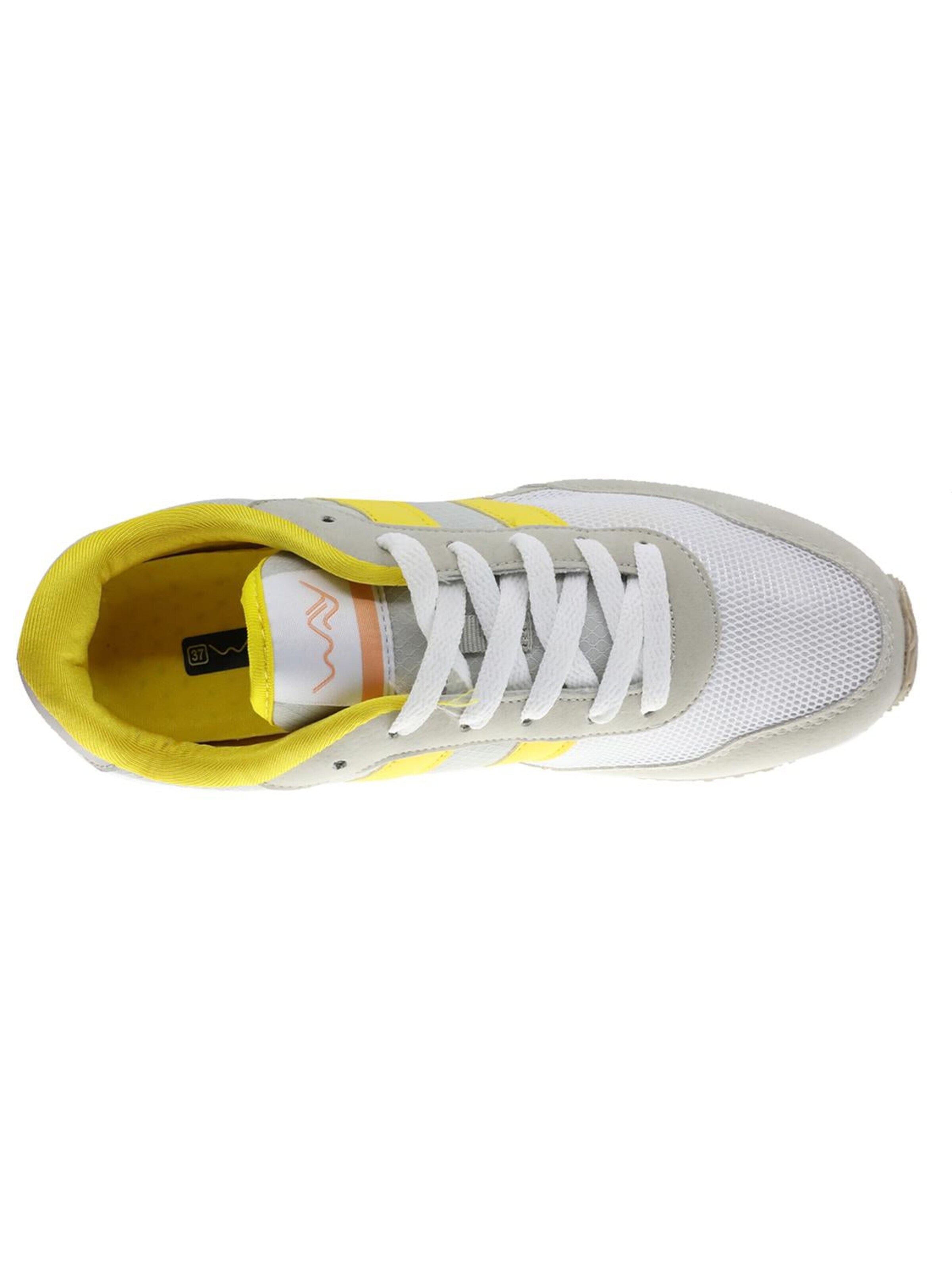 Beppi Sneakers laag in Grijs