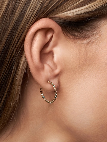 A&C Oslo – Nordic Design Jewellery Oorbellen 'Vibrance Gold' in Goud