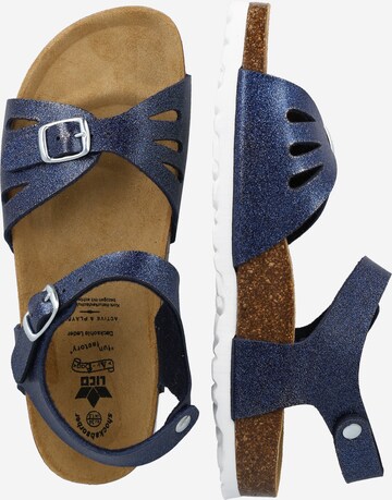 LICO Sandals in Blue