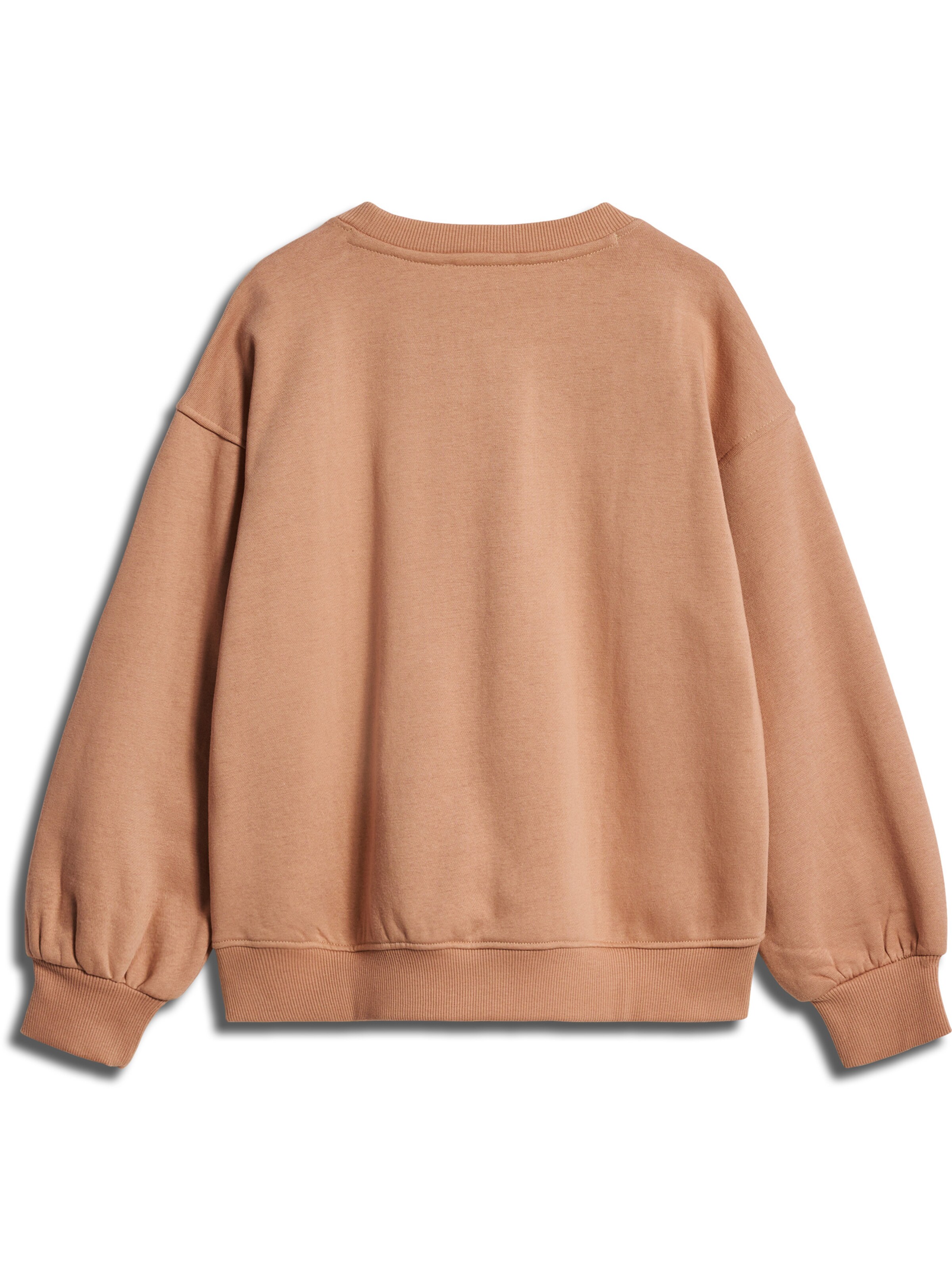 SOMETIME SOON Sweatshirt i brun