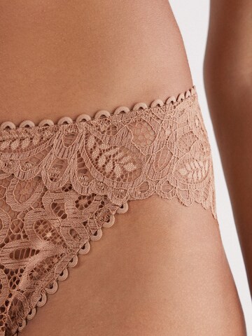 INTIMISSIMI Briefs 'ITALIAN RIVIERA' in Braun